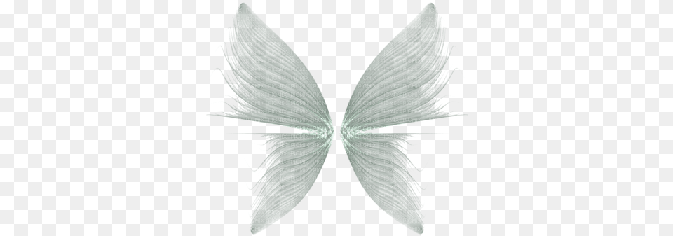 Fairy Wings Svg Freeuse Transparent Background Wings, Accessories, Formal Wear, Tie, Art Png Image