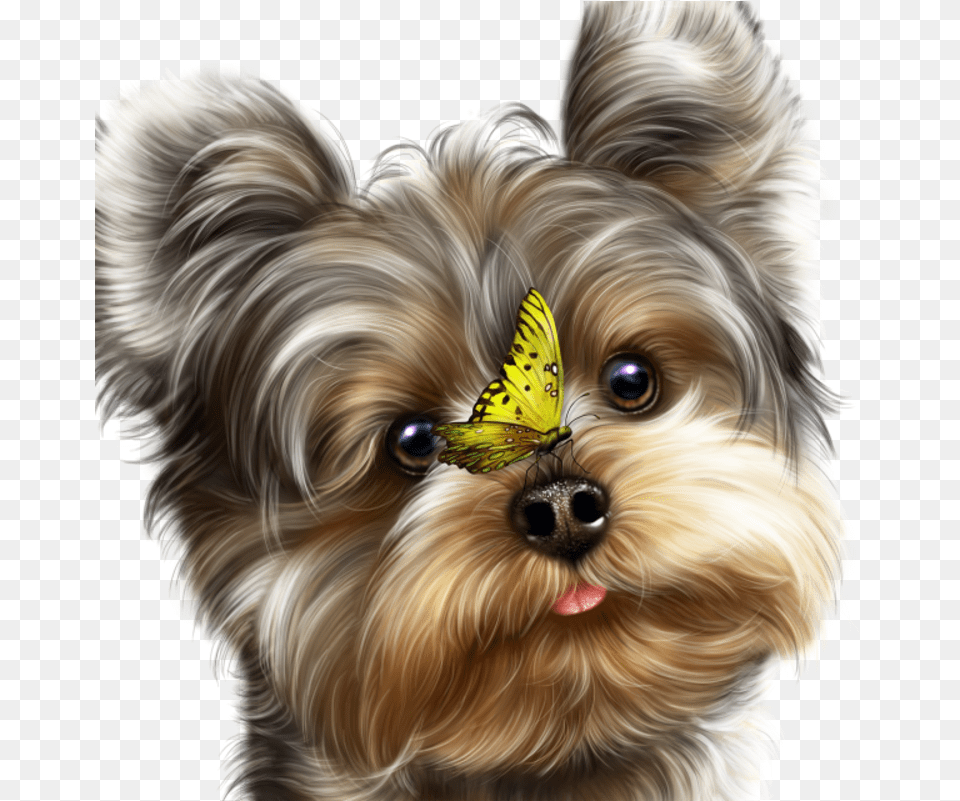 Fairy Yorkie And Butterflies Yorkies, Animal, Canine, Dog, Mammal Free Png Download