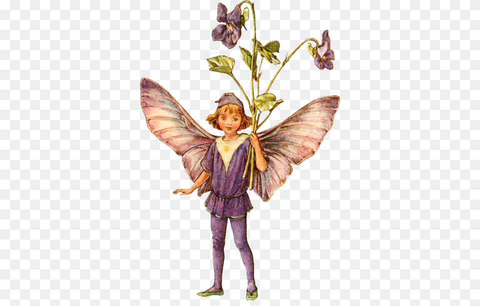 Fairytale Transparent And Clipart, Plant, Person, Angel, Face Png Image