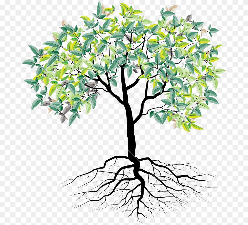 Faith Family And Roots Cartoon Tree With Roots, Plant, Root, Art, Potted Plant Png