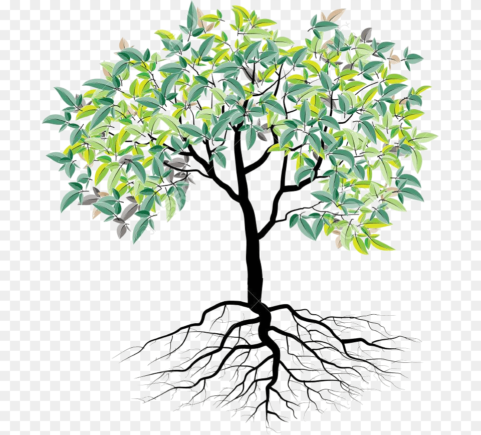 Faith Family And Roots Tree With Roots, Plant, Potted Plant, Root, Art Png