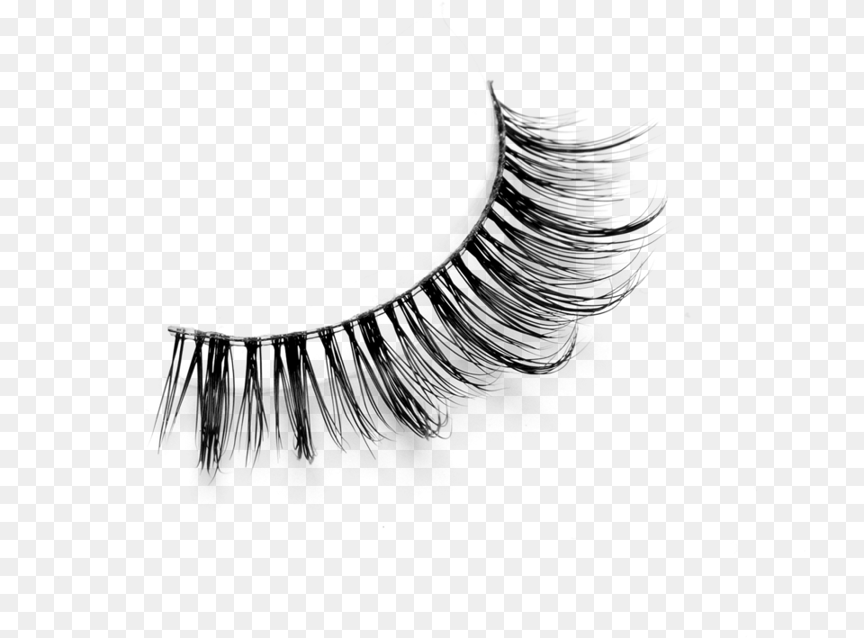 Fake Eyelashes Eyelash Extensions, Gray Png Image