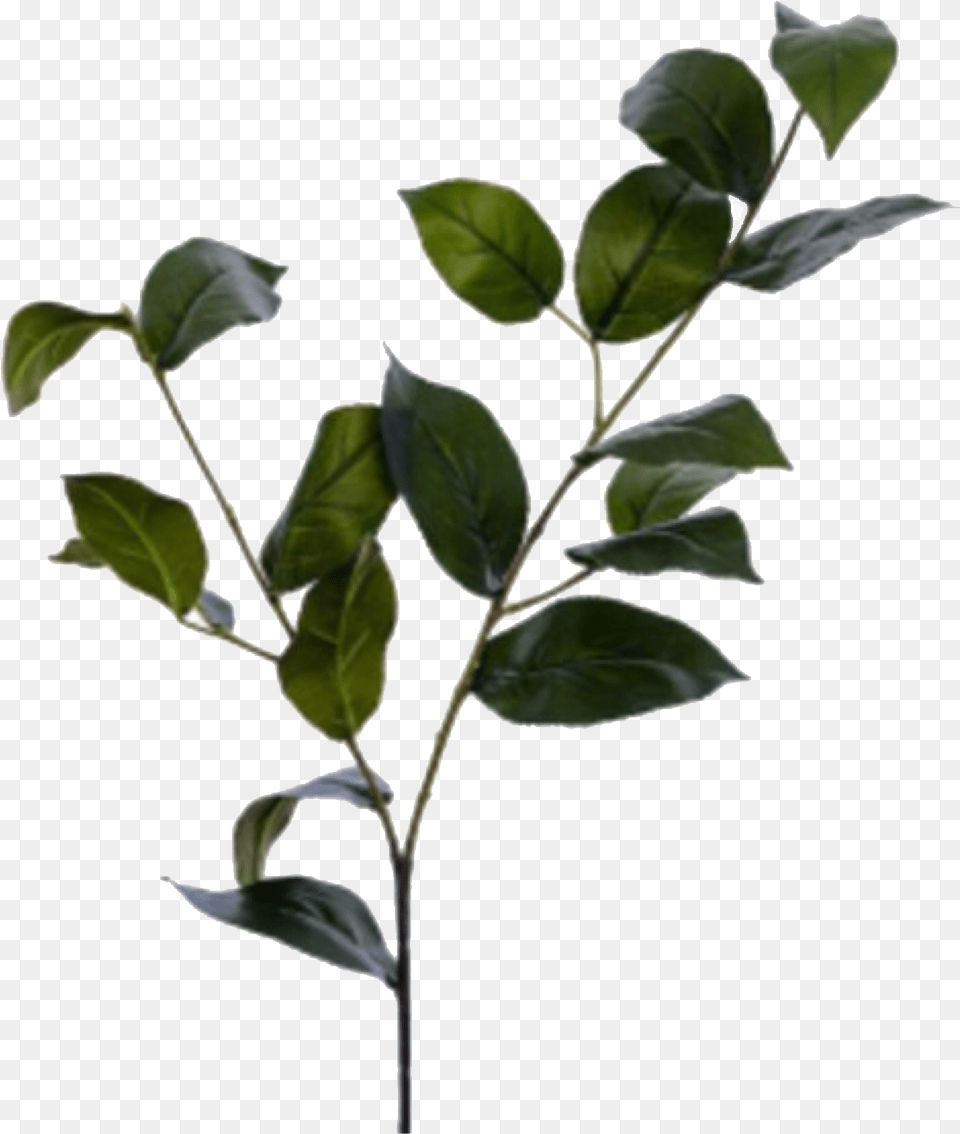 Fake Flower Arrangements Apple Tree Leaf Arrangement, Plant, Potted Plant Free Png