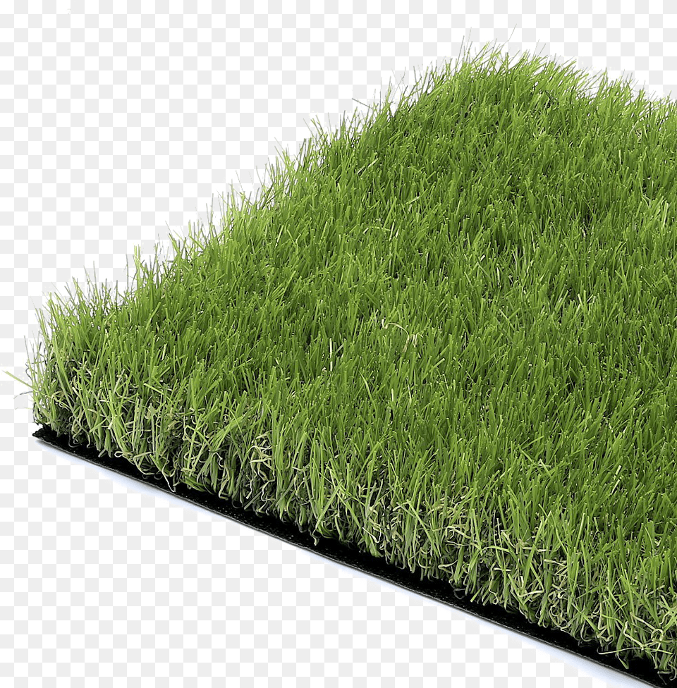 Fake Grass Background Grass Fake, Lawn, Moss, Plant, Vegetation Free Png