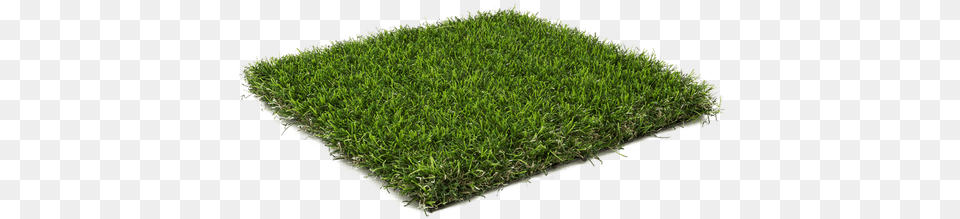 Fake Grass Square Grass, Lawn, Moss, Plant, Vegetation Free Png