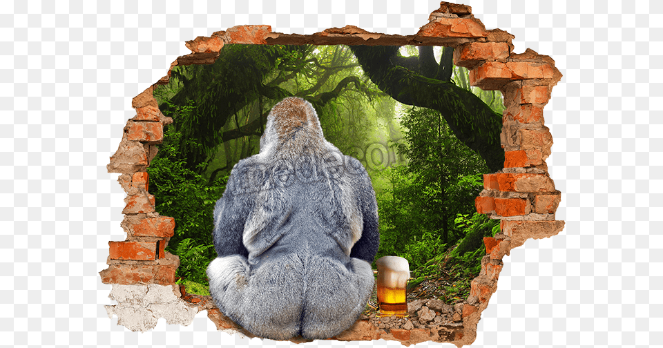 Fake Hole In The Wall, Wildlife, Animal, Bear, Mammal Free Transparent Png