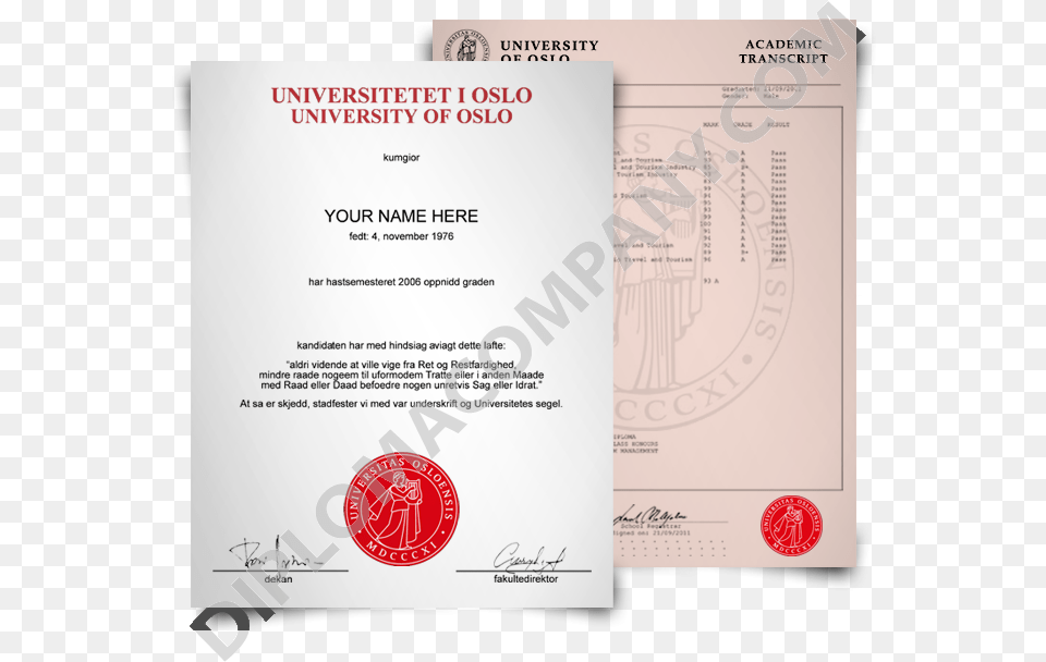 Fake Norway College Degree With Marksheets University Of Oslo Certificate, Text, Document, Diploma Free Png Download
