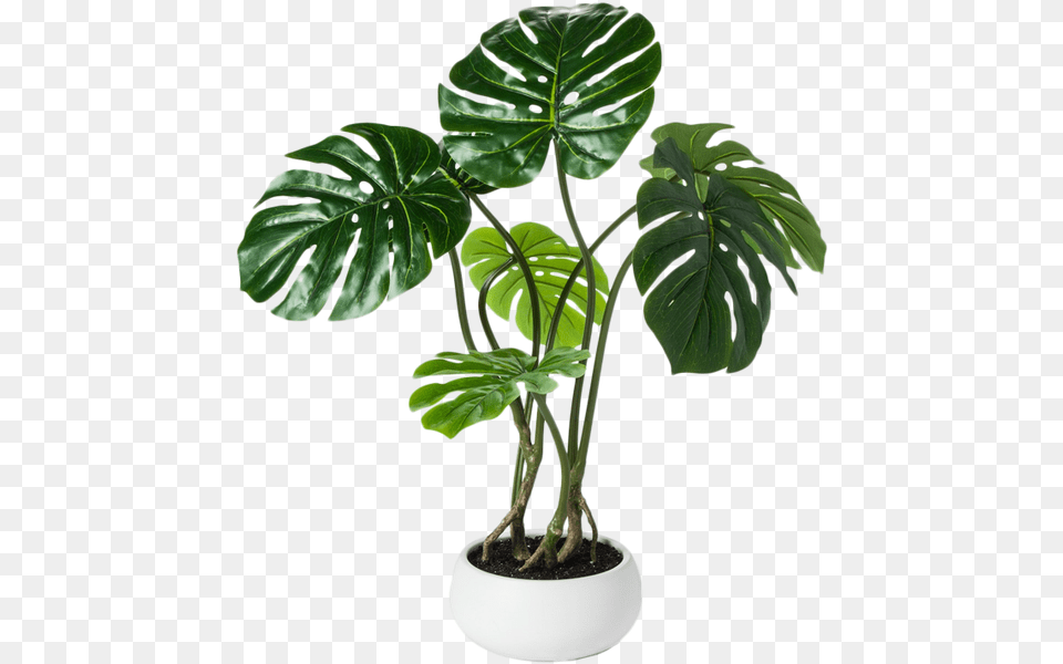 Fake Palm Leaf Plant, Palm Tree, Potted Plant, Tree, Flower Free Transparent Png