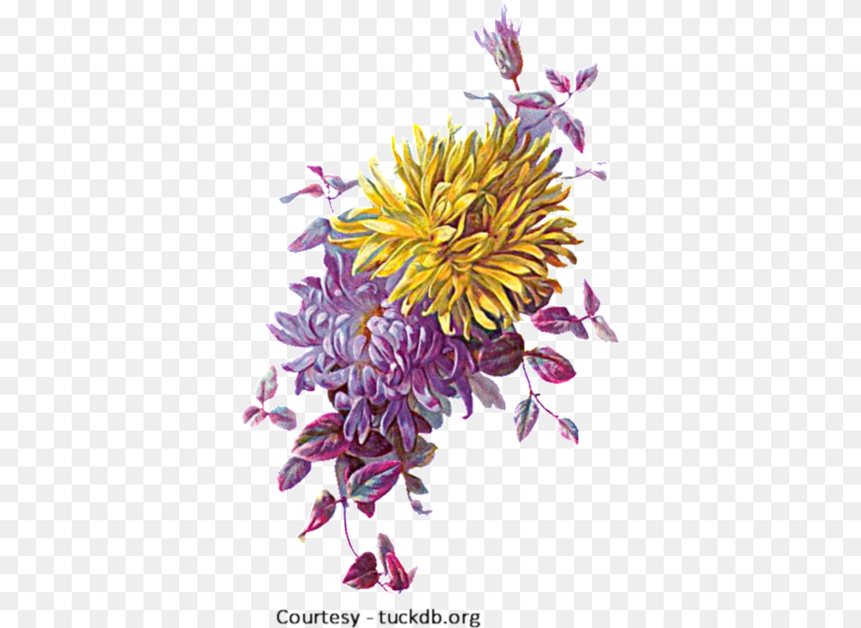 Fal Flowers B Flower, Dahlia, Petal, Plant, Art Png Image