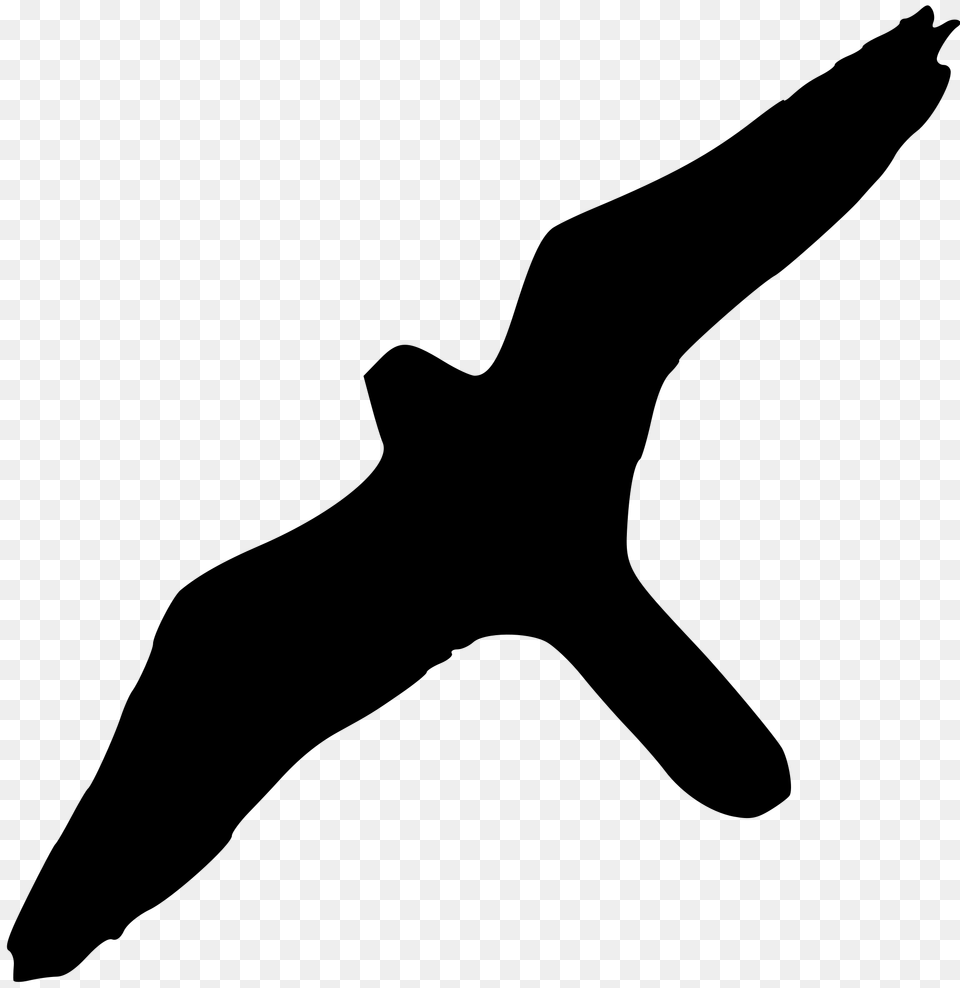 Falco Peregrinus Silhouette, Gray Free Transparent Png