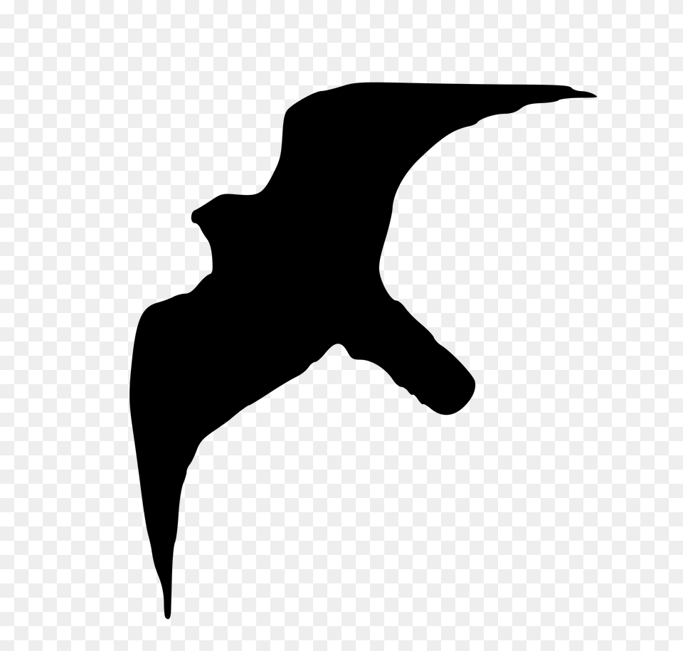 Falco Peregrinus Silhouette, Gray Png