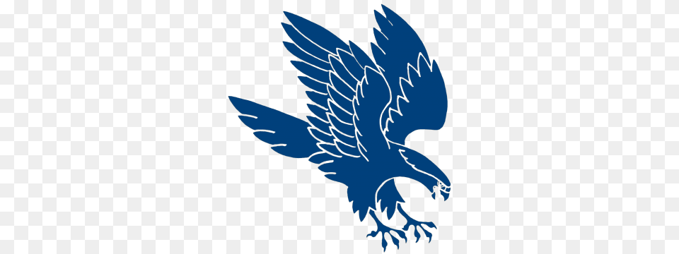 Falcon Free Png