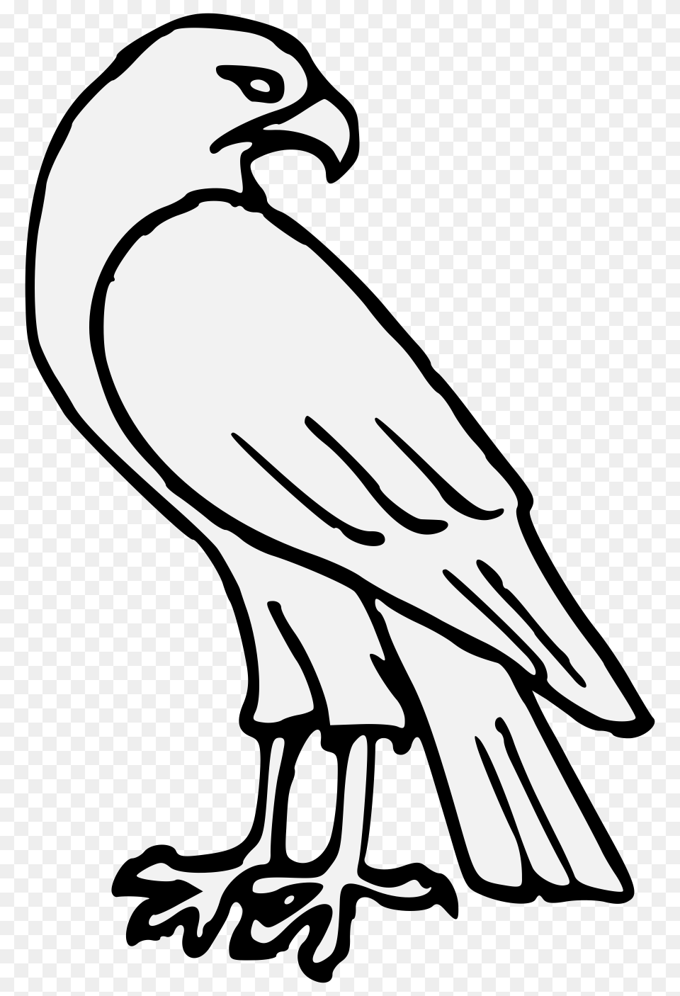 Falcon, Stencil, Animal, Bird, Vulture Free Png Download