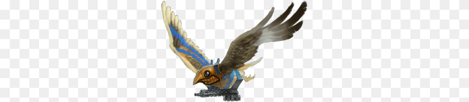 Falcon, Animal, Beak, Bird, Flying Free Transparent Png