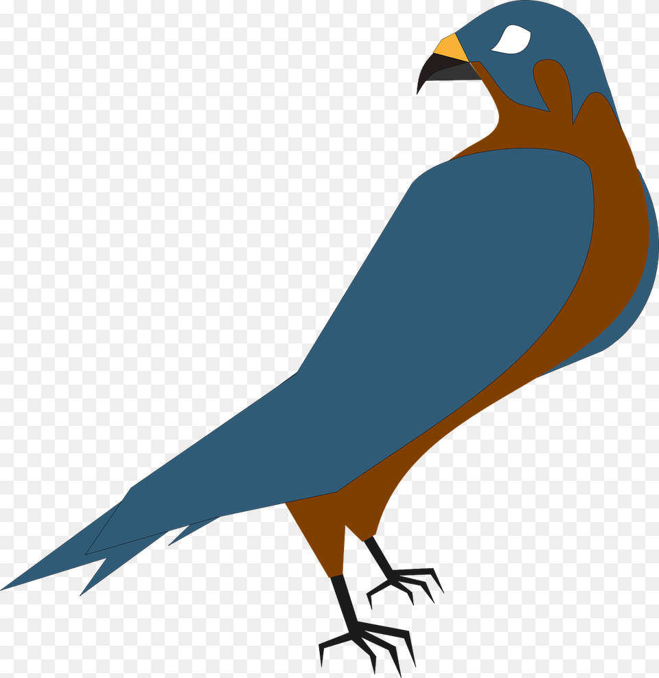 Falcon Bird Of Prey Vector Graphic On Pixabay Hawk Clip Art, Animal, Bluebird, Beak Png