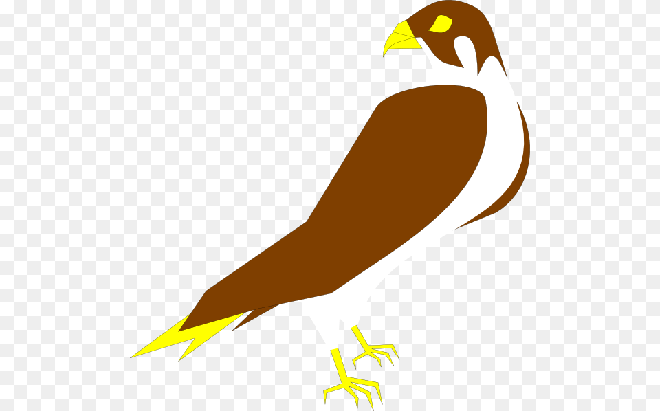 Falcon Clip Art, Animal, Beak, Bird, Fish Png