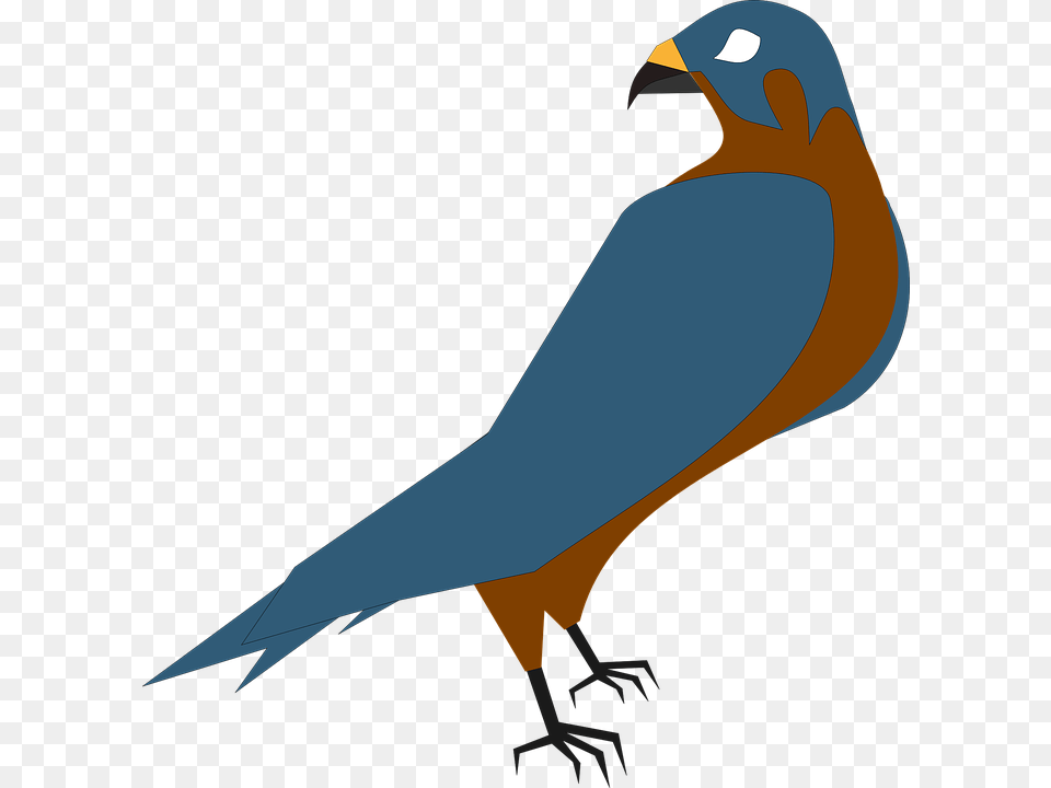 Falcon Clip Art, Animal, Bird, Bluebird, Beak Free Png Download