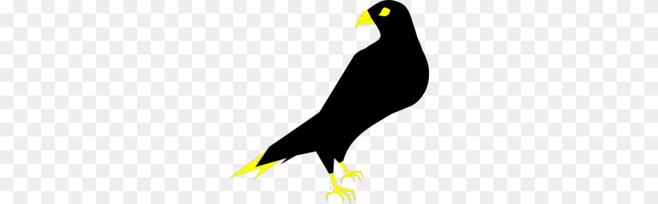 Falcon Clip Art Free Png