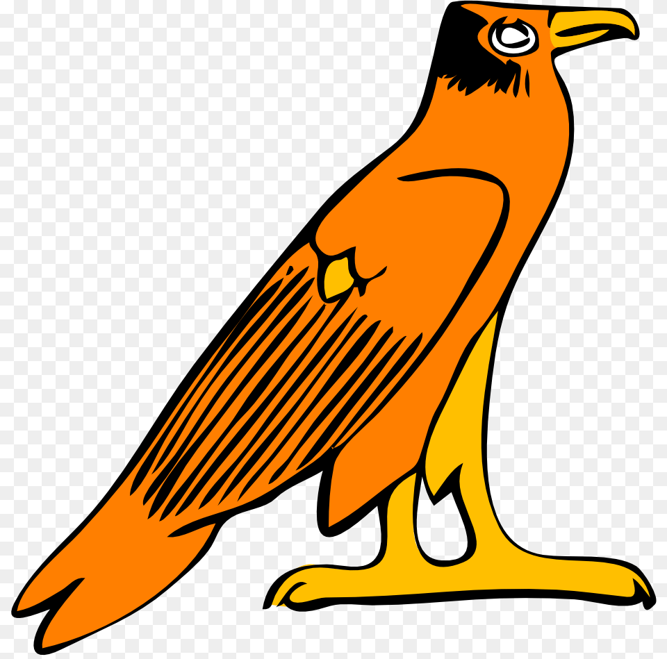 Falcon Clip Art Black And White, Animal, Beak, Bird, Kite Bird Free Png