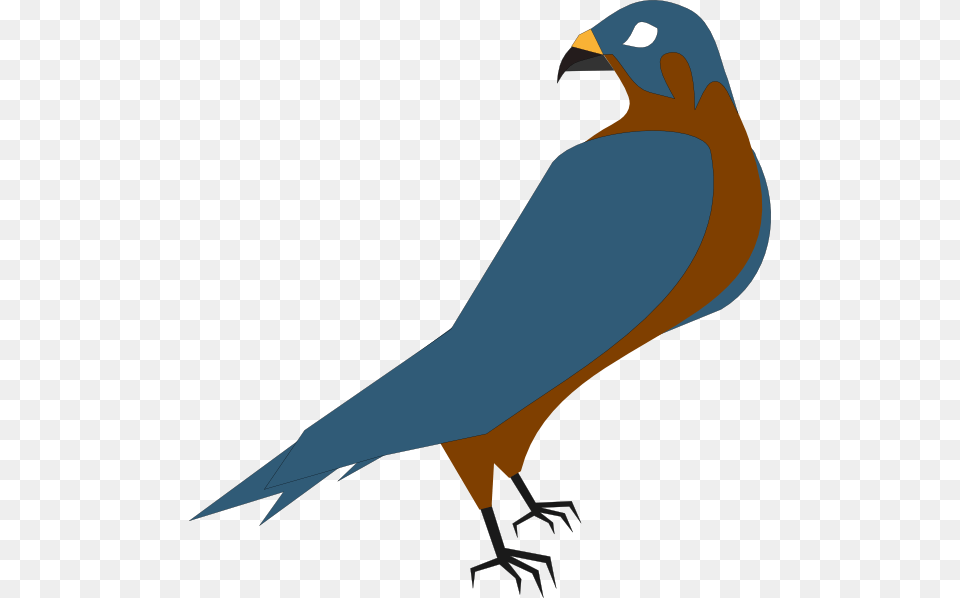 Falcon Clip Art Clip Art Peregrine Falcon, Animal, Beak, Bird, Fish Free Png Download
