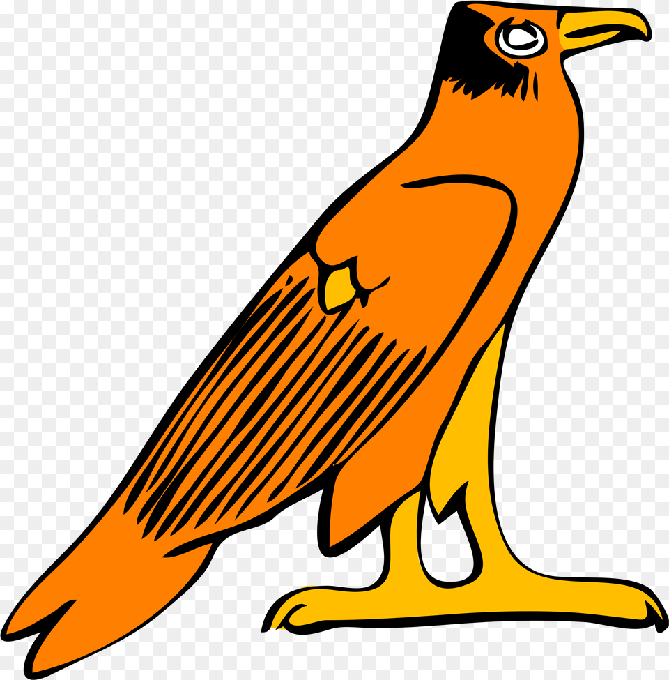 Falcon Clip Art Clipart Falcon, Animal, Beak, Bird, Vulture Free Png