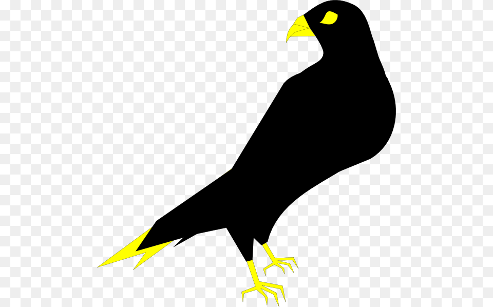 Falcon Clip Art For Web, Animal, Bird, Blackbird, Beak Free Png