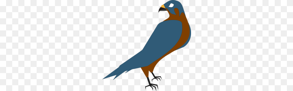 Falcon Clip Art For Web, Animal, Beak, Bird, Bluebird Free Transparent Png