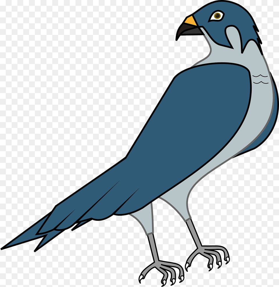 Falcon Clipart, Animal, Beak, Bird, Jay Free Png
