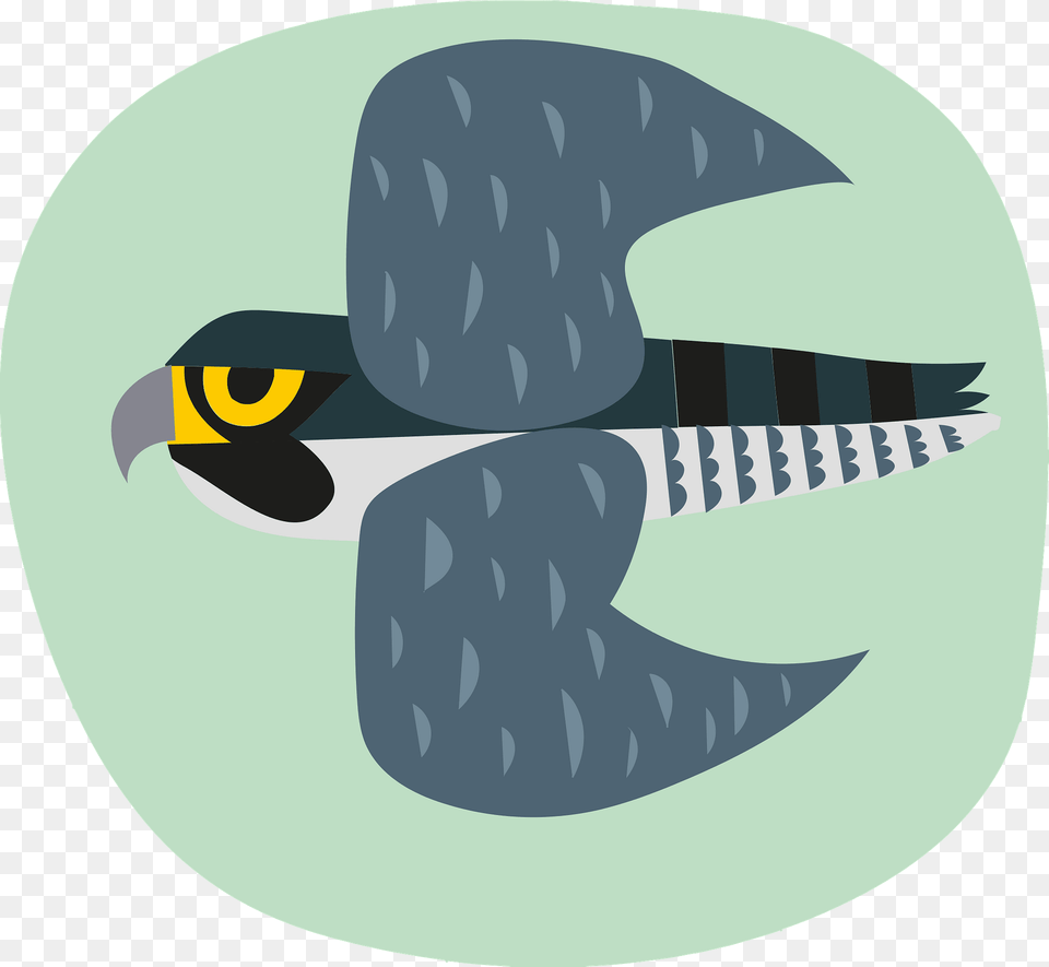 Falcon Clipart, Animal, Beak, Bird, Jay Png Image