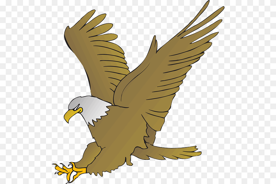Falcon Clipart Agila, Animal, Bird, Eagle, Flying Free Transparent Png