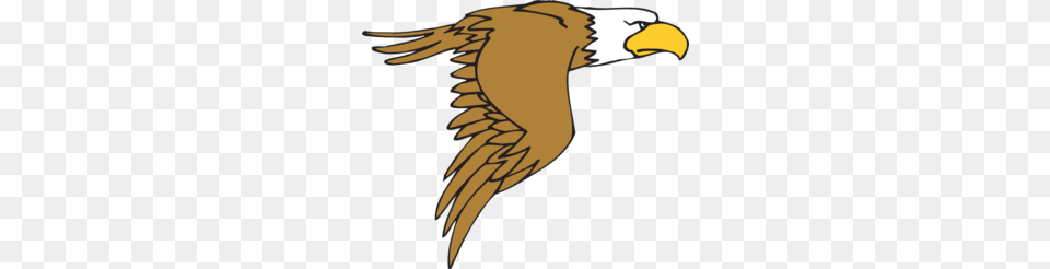 Falcon Clipart In Flight, Animal, Beak, Bird, Eagle Png Image