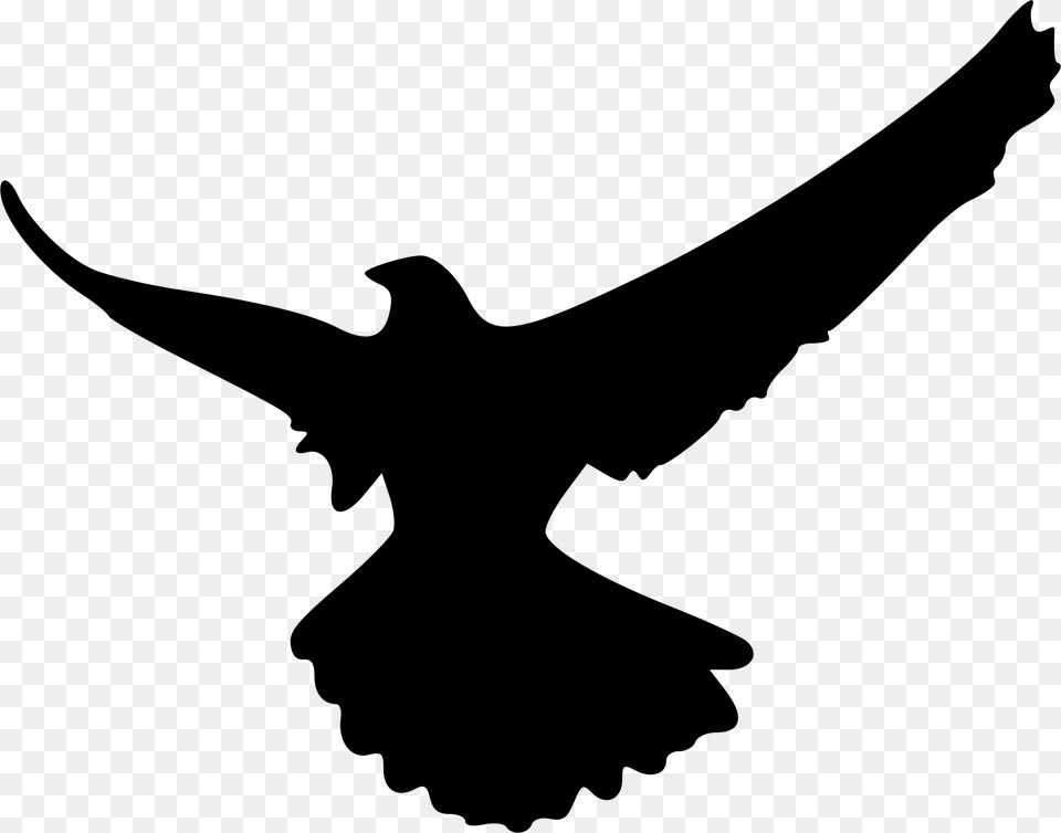 Falcon Clipart Shadow, Gray Png