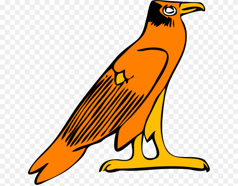 Falcon Eagle Computer Icons Hawk Download, Animal, Beak, Bird, Vulture Png
