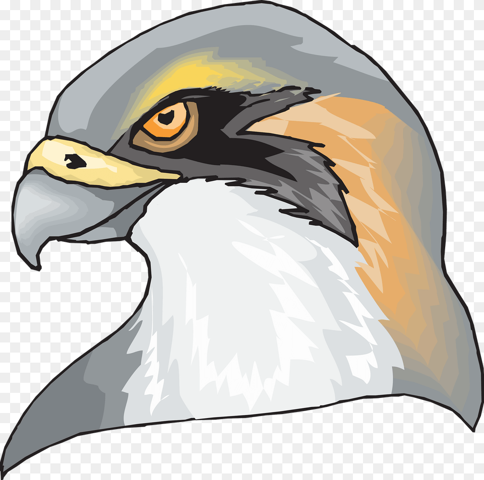 Falcon Face Clipart, Animal, Beak, Bird, Eagle Png