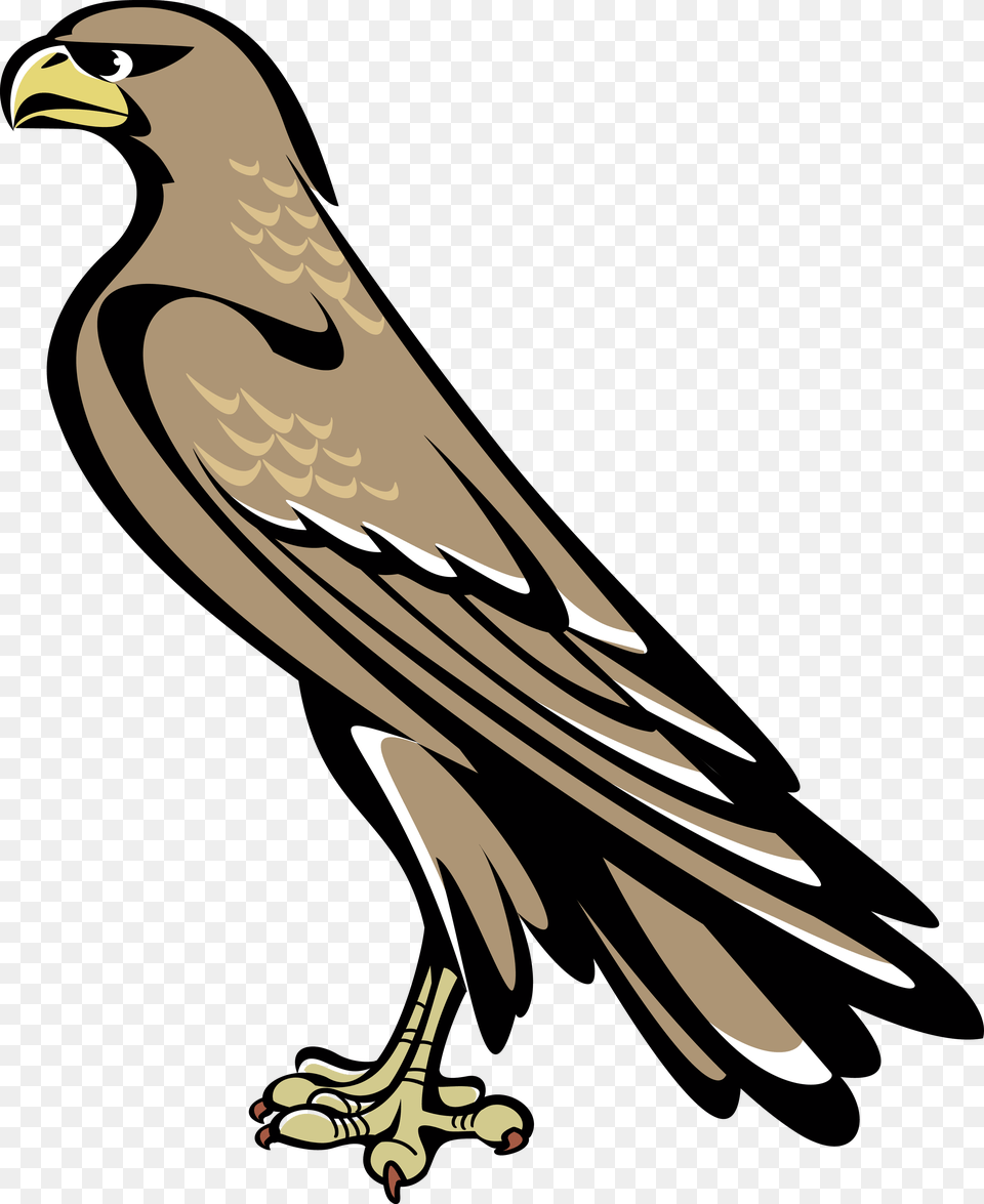 Falcon Falcon Symbol Coat Of Arms, Animal, Kite Bird, Bird, Vulture Png Image
