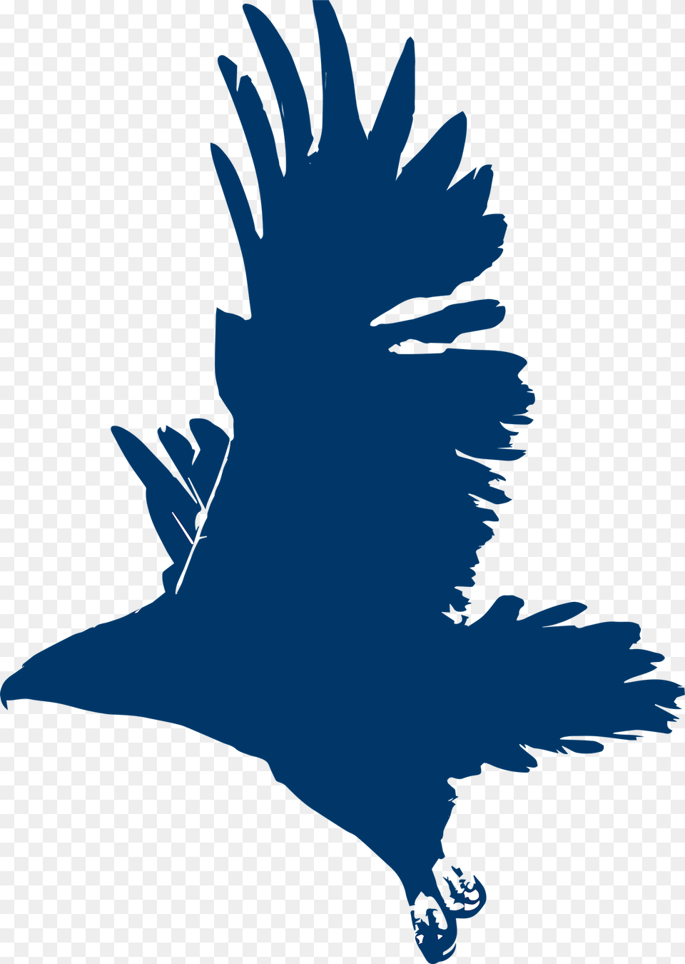 Falcon Icon, Animal, Bird, Vulture, Person Free Png