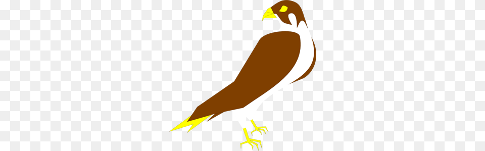 Falcon Images Icon Cliparts, Animal, Beak, Bird, Finch Png Image
