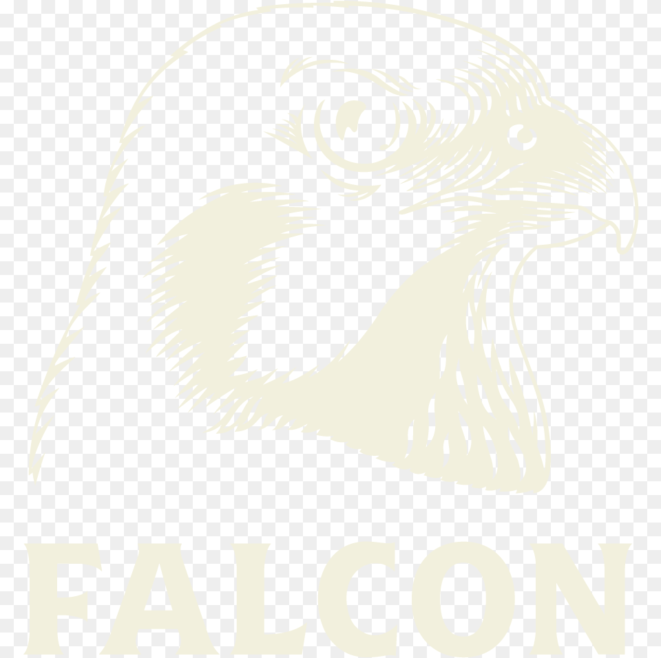 Falcon Logo Hawk, Animal, Beak, Bird, Eagle Png