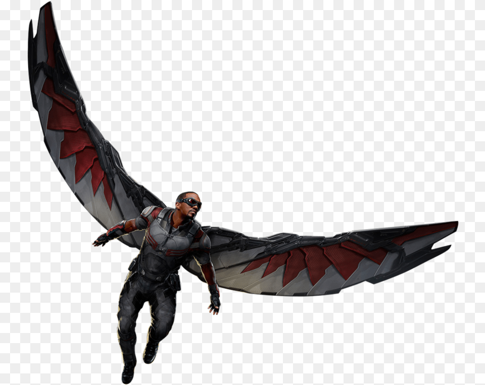 Falcon Marvel, Adult, Male, Man, Person Free Png