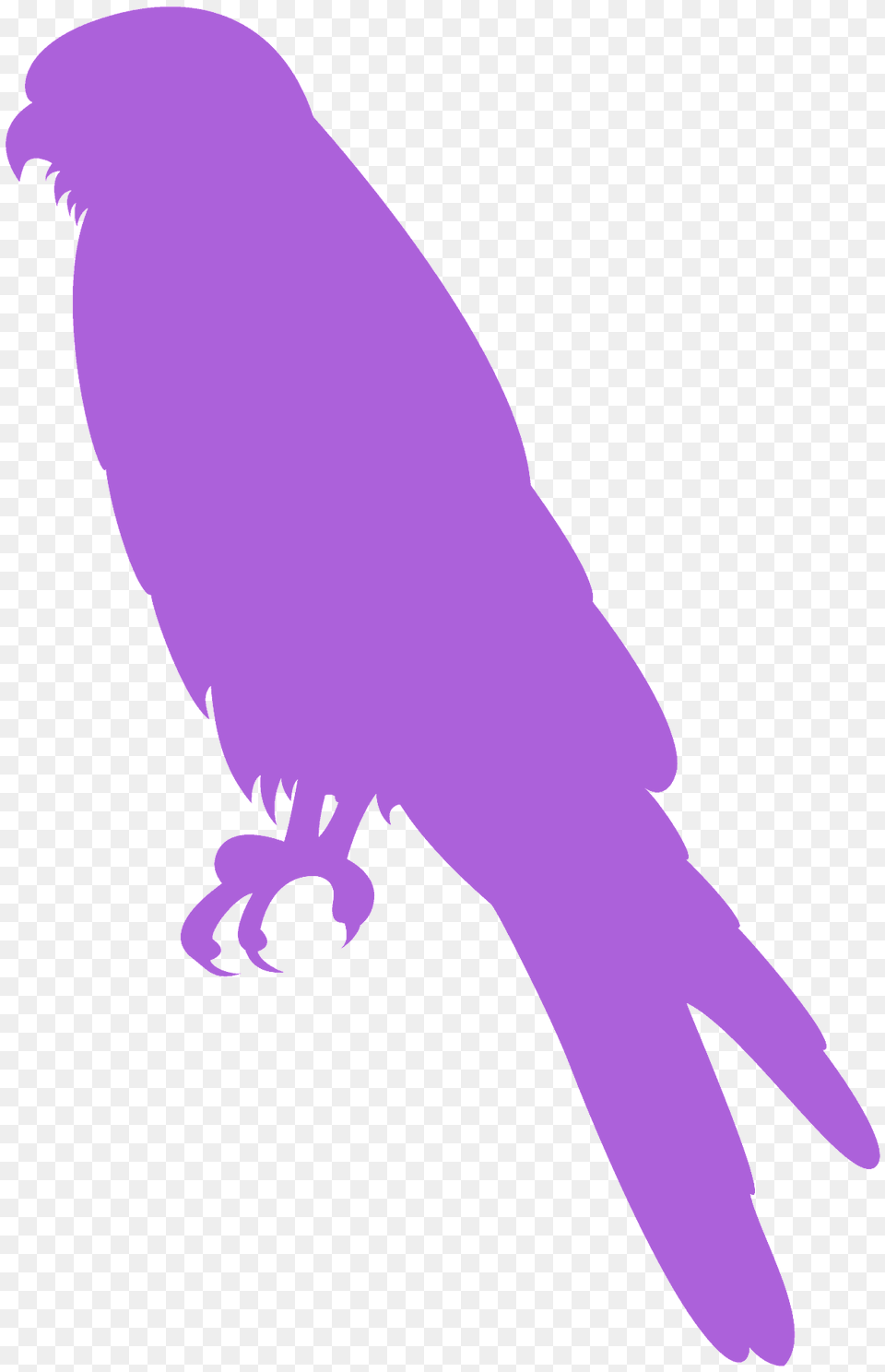 Falcon Silhouette, Animal, Person, Bird, Kite Bird Png Image