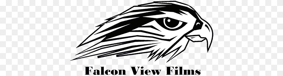 Falcon View Films Library Library Portable Network Graphics, Animal, Beak, Bird, Eagle Png