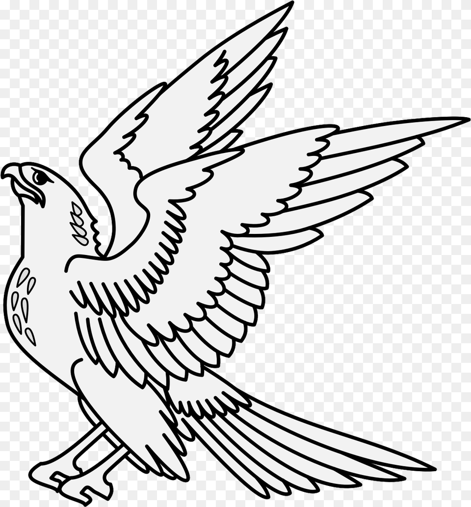 Falconiformes, Stencil, Animal, Bird Png Image