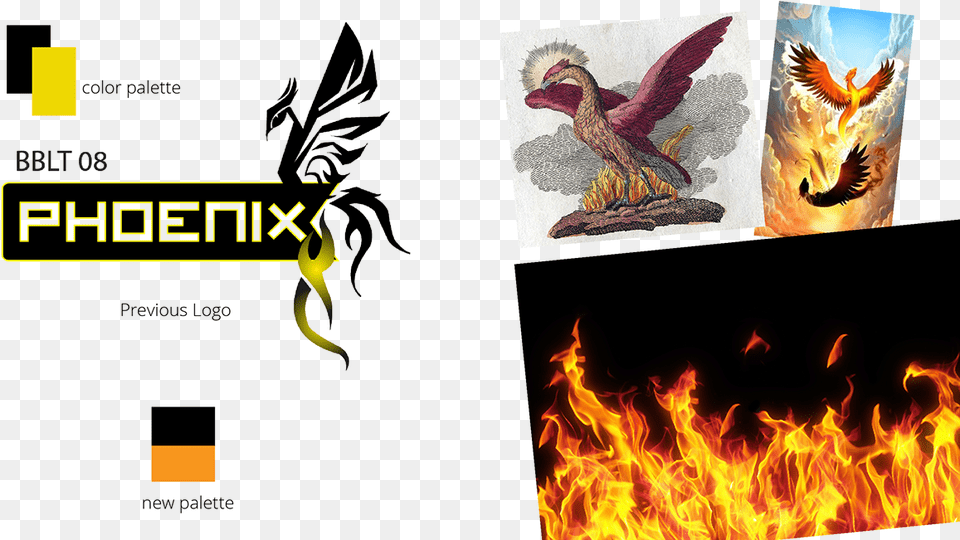 Falconiformes, Animal, Bird, Bonfire, Fire Free Transparent Png