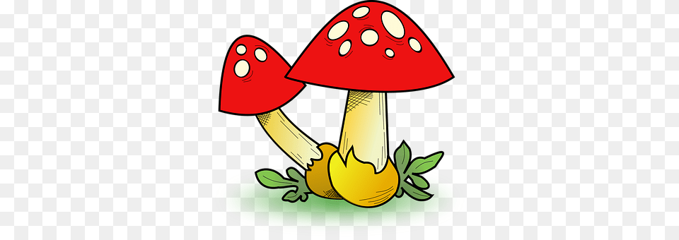 Fall Fungus, Mushroom, Plant, Agaric Free Png Download