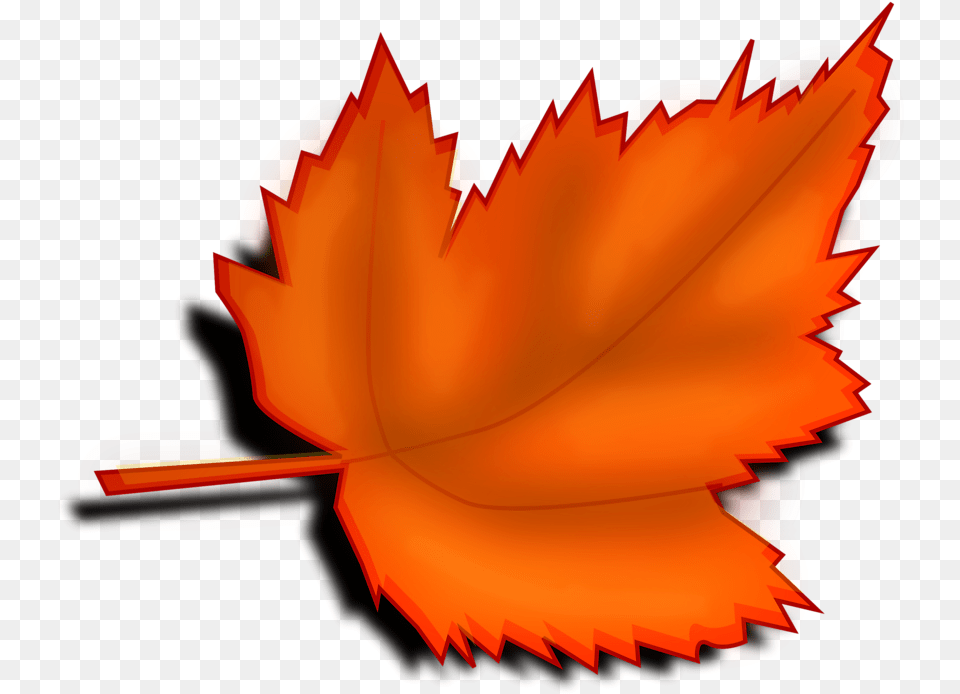 Fall, Leaf, Plant, Tree, Maple Leaf Free Png Download