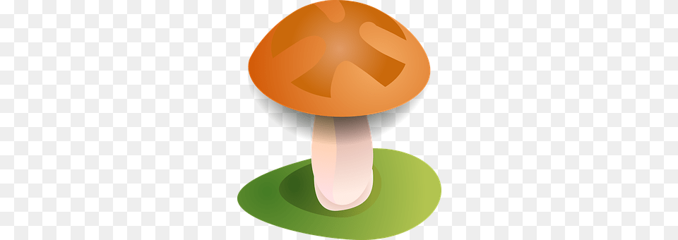 Fall Fungus, Mushroom, Plant, Agaric Png Image