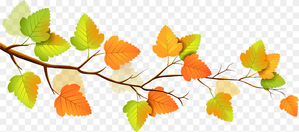 Fall, Leaf, Plant, Tree, Herbal Free Png Download