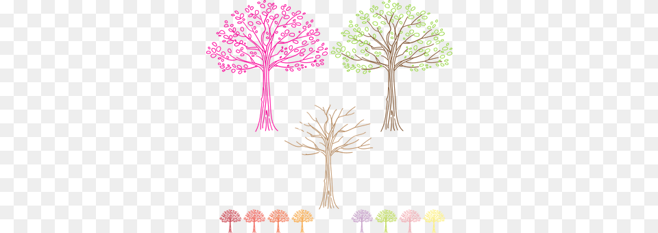 Fall Pattern, Plant, Tree, Fungus Png