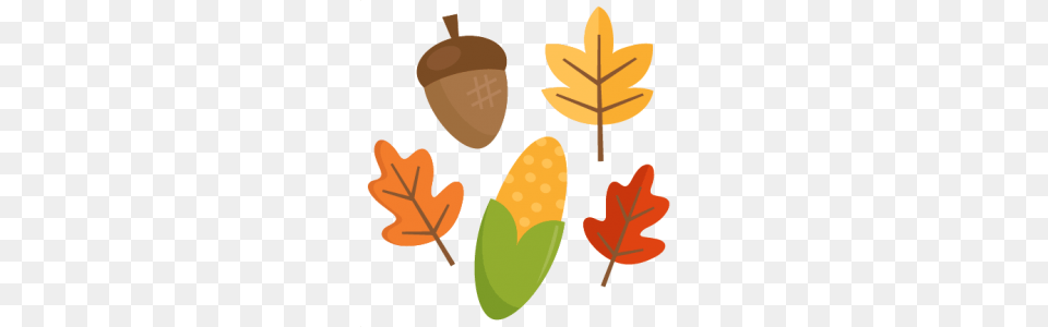 Fall, Food, Grain, Nut, Plant Free Png