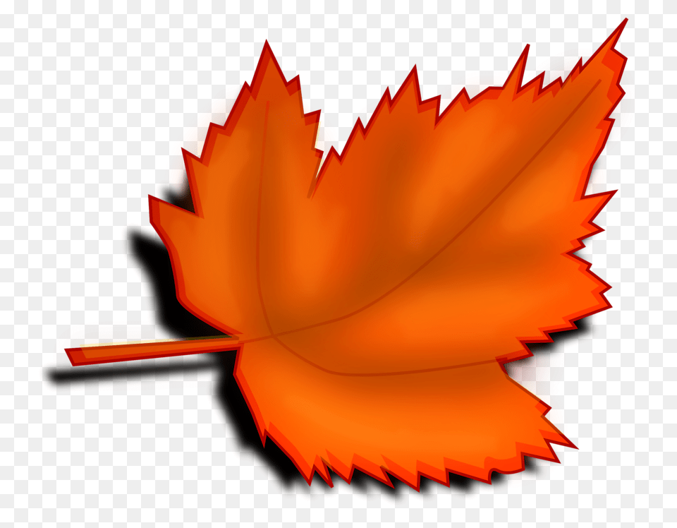 Fall, Leaf, Plant, Tree, Maple Leaf Free Png